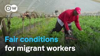 The fight against exploitation of migrant workers in Italy  DW Documentary