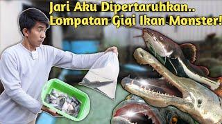 ASLI NGERI IKAN MONSTER YANG BERHASIL LOMPAT DAPAT MAKANAN