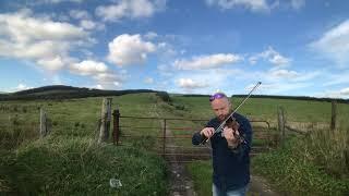 Fergal Scahills fiddle tune a day 2017 - Day 268 - The Yellow Cow