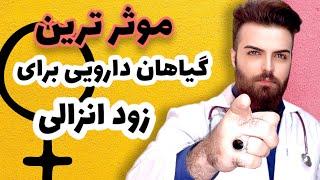 چگونه با استفاده از گیاهان و طب سنتی، زود انزالی را درمان کنیم؟?treat PE with herbs