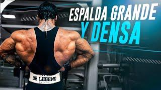 BACK WORKOUT - ENTRENAMIENTO DE ESPALDA