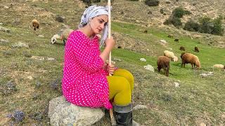 Exploring Daily Routine in Irans Nomadic Life  IRAN nomadic lifestyle