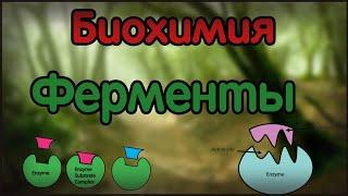 Биохимия. Лекция 21. Ферменты. Part 1.