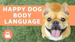 10 Dog BODY LANGUAGE Signs Your DOG is HAPPY 