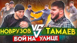 Тамаев vs Новрузов. Бой Конфликт в студии