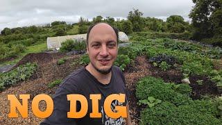 How to Grow Food Fast Only 2 Months After Starting No Dig Garden