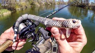 Fishing A Snake Lure For River MONSTERS