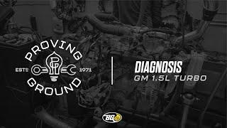 Episode 5 - Diagnosis  Reclaimed Power  BG Products Inc.