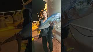 Good catch #seafarer #seaman #fishing #fish #fishingvideo