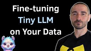 Fine-tuning Tiny LLM on Your Data  Sentiment Analysis with TinyLlama and LoRA on a Single GPU