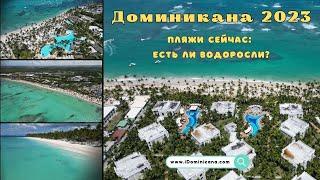 Доминикана сейчас как выглядят пляжи есть ли водоросли где лучше отдыхать - iDominicana.com