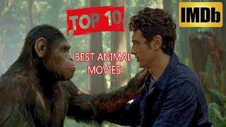 Top 10 Best Animal Movies of all timeAccording To IMDb score