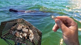 Manatees and GOLD Beach Metal Detecting