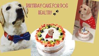 Homemade and healthy Dog Birthday cake Recipe  Pet Friendly Cake How to make cake for Dogs