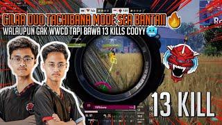 SEMAKIN MUCUKDUO TACHIBANA MODE SEAPJEV BANTAI SEMUA TIM SAMPAI 13 KILL HAMPIR WWCD