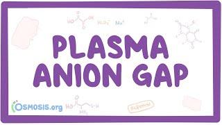Plasma anion gap