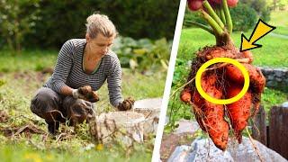 Woman Digs Up Strange Carrot - Discovers 13-Year-Old Secret