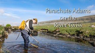 Dry Fly Fishing With A Parachute Adams