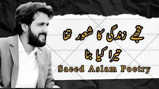 Tera Kya Bana  Saeed Aslam Punjabi Poetry Whatsapp Status  Saeed Aslam Poetry #saeedaslam