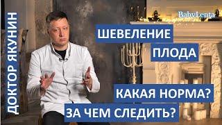 Сколько раз в день должен шевелиться ребенок? Норма шевелений плода во время беременности