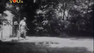 කොළඹ සන්නිය Old Movie Trailer 3 - Colaba sanniya - Comedy Movie - Sinhala