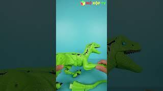 Khủng Long Velociraptor Khổng Lồ Điều Khiển Từ Xa Chuyển Động Mạnh Mẽ Như Thật  Mở Hộp TV #shorts