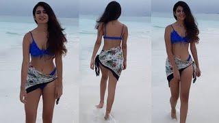 Priya Varrier GLAMOROUS Bikini Visuals at Maldives  Priya Prakash Varrier  Priya Varrier Videos