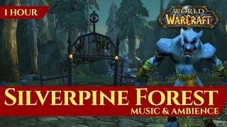 Vanilla Silverpine Forest - Music & Ambience 1 hour 4K World of Warcraft Classic