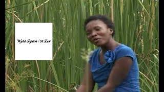 Martha Mwaipaja Tusikate Tamaa
