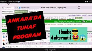 21 Eylül 2024 Cumartesi Ankara at yarışı tahminleri Ankara altılı ganyan tahminleri  Oğulcan Karaca