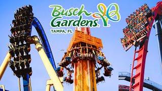 MUST DO The 17 BEST Things to Do at Busch Gardens Tampa Bay in 2024