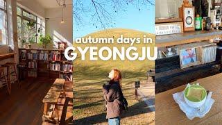 autumn in gyeongju  bookstores new cafes solo travel outside seoul korea vlog
