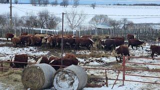 РЕЗКАЯ ПЕРЕМЕНА ПОГОДЫ в Марте. То солнце и мороз то дождь и слякоть....  Ждем Весну 