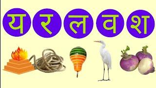 HINDI ALPHABETS YA RA LA VA SHA for kids ।। हिंदी अक्षर य र ल व श