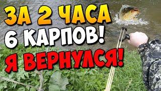 Новая рогатка для охоты в действии  6 Карпов за пару часов #11