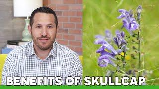 The Benefits of Skullcap