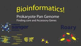 Bioinformatics - Prokaryote Pan Genome with Roary Timestamps