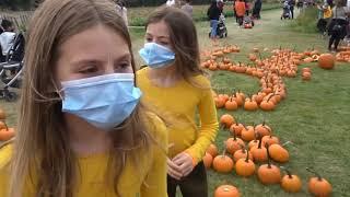 HALLOWEEN 2020 - A YEAR UNLIKE ANY OTHER PUMPKIN PATCH VLOG + SAMSUNG TABLET GIVEAWAY