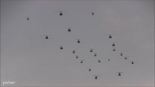 Formation Flight.Military HelicopterArmy Aviation Groupat TokyoJapan