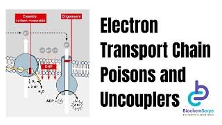 Electron Transport Chain Poisons and Uncouplers - Biochemistry