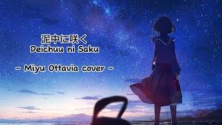 Deichuu ni Saku - Miyu Ottavia cover Lirik Terjemahan Indonesia