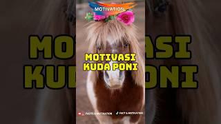 Motivasi Kuda Poni #viral #shorts #fyp #videomotivasi #motivation #motivasihewan