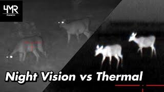 Night Vision vs Thermal  ATN