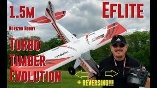 Horizon Hobby - Turbo Timber Evolution - Unbox Build Radio Setup & Maiden Flights