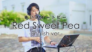 English ver. 赤いスイートピー - 松田聖子 Red Sweet Pea  Cover by HighT