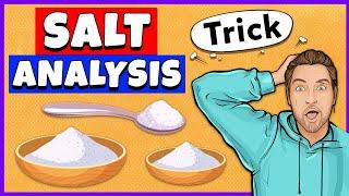 Salt Analysis Class 12 Practical