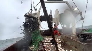 Hauling back the gear on scallop boat FV Seafarer