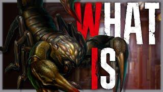 What is Stinger? Resident Evil 0