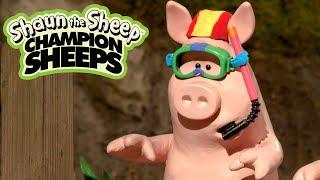 Swimming  Championsheeps Games  Shaun the Sheep