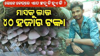 ମାସକୁ ଲାଭ 40 ହଜାର ଯୁବ ଚାଷୀଙ୍କ ଛତୁ ଚାଷ  Profit in mushroom farming in Odisha  Buy Mushroom spawn.